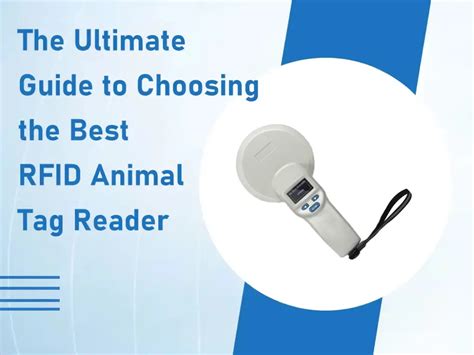 rf dog tag|Choosing RFID Dog Tags: A Comprehensive Guide to Their.